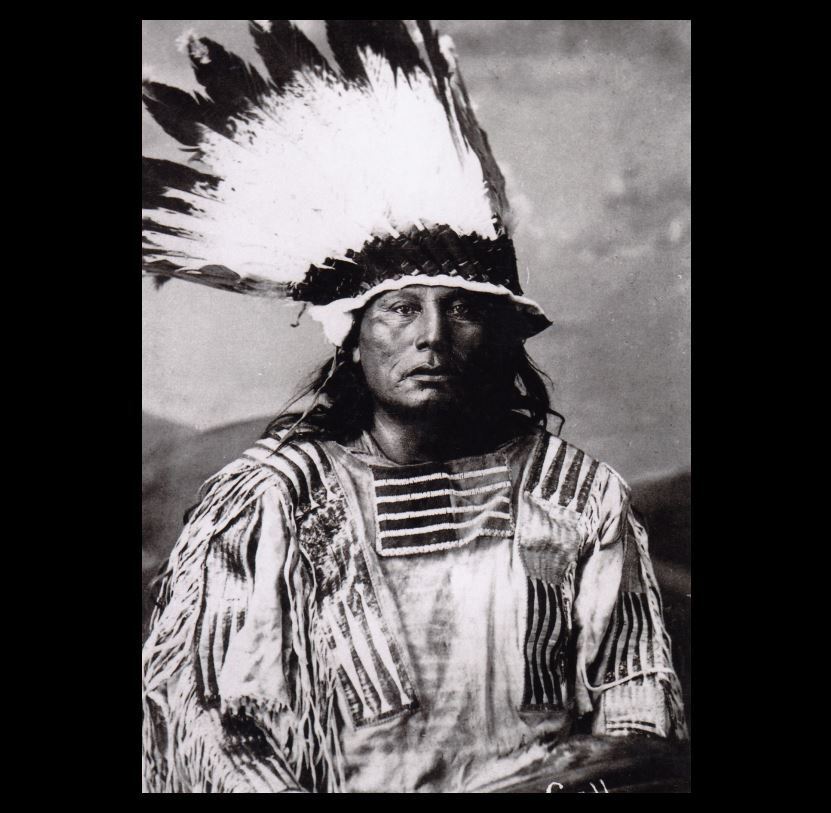 Chief Gall 1880 PHOTO Survivor of Custer’s Last Stand, Headdress Lakota Indian