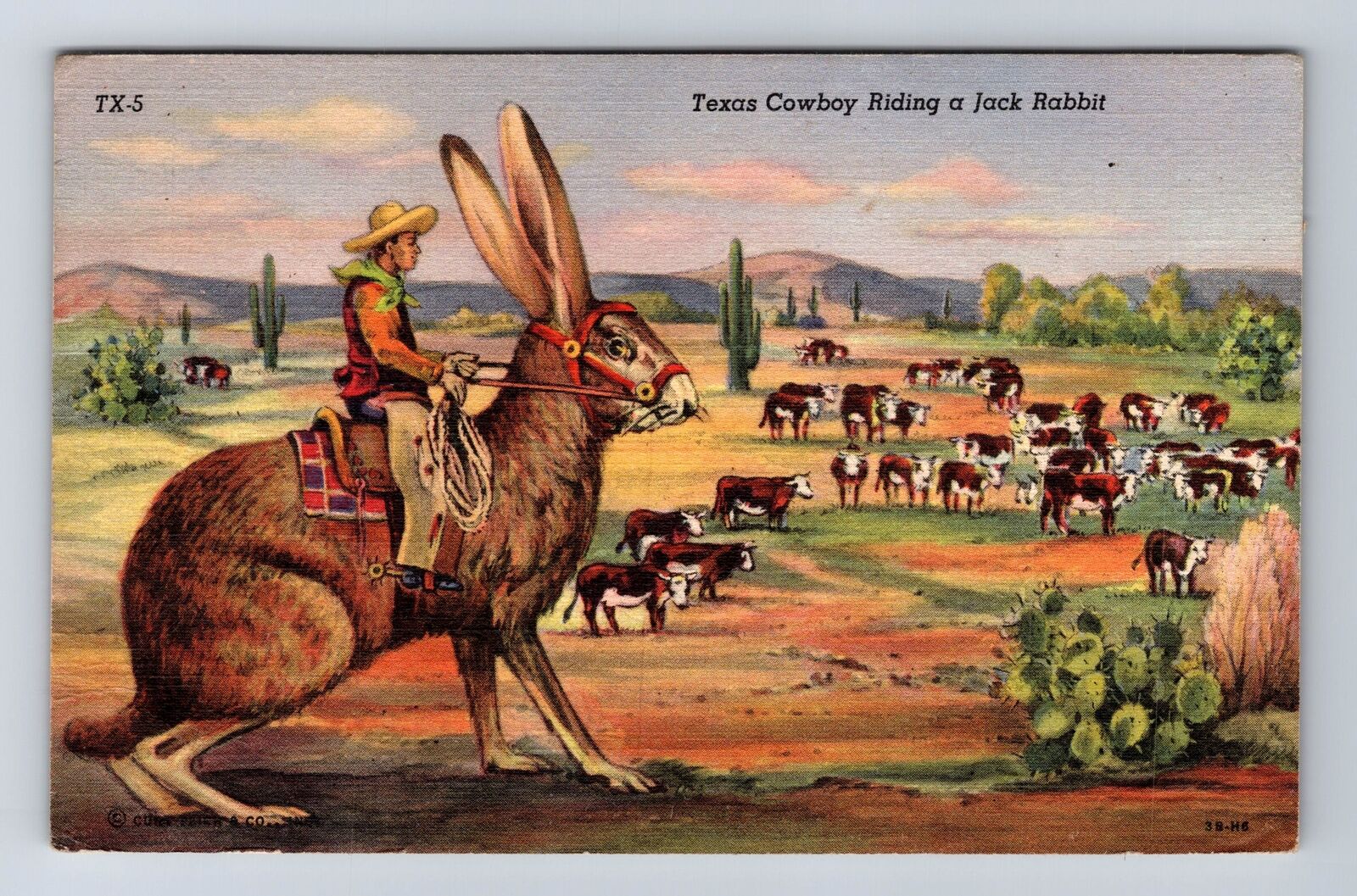 Texas Cowboy Riding A Jack Rabbit, Comic, Antique, Vintage Souvenir Postcard