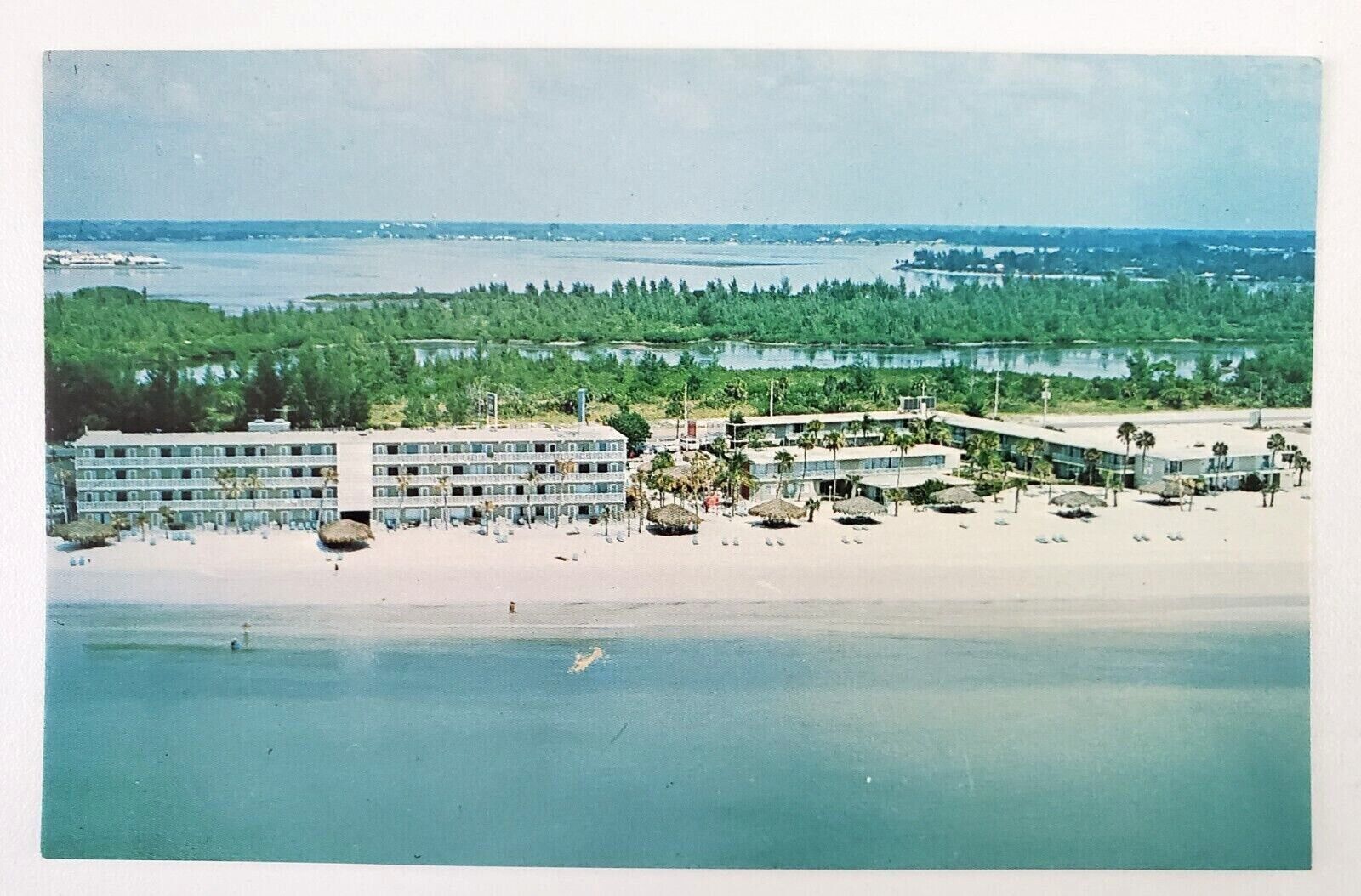 1960s Sheraton Sancastle Motor Inn Lido Beach Sarasota Florida FL Postcard Motel