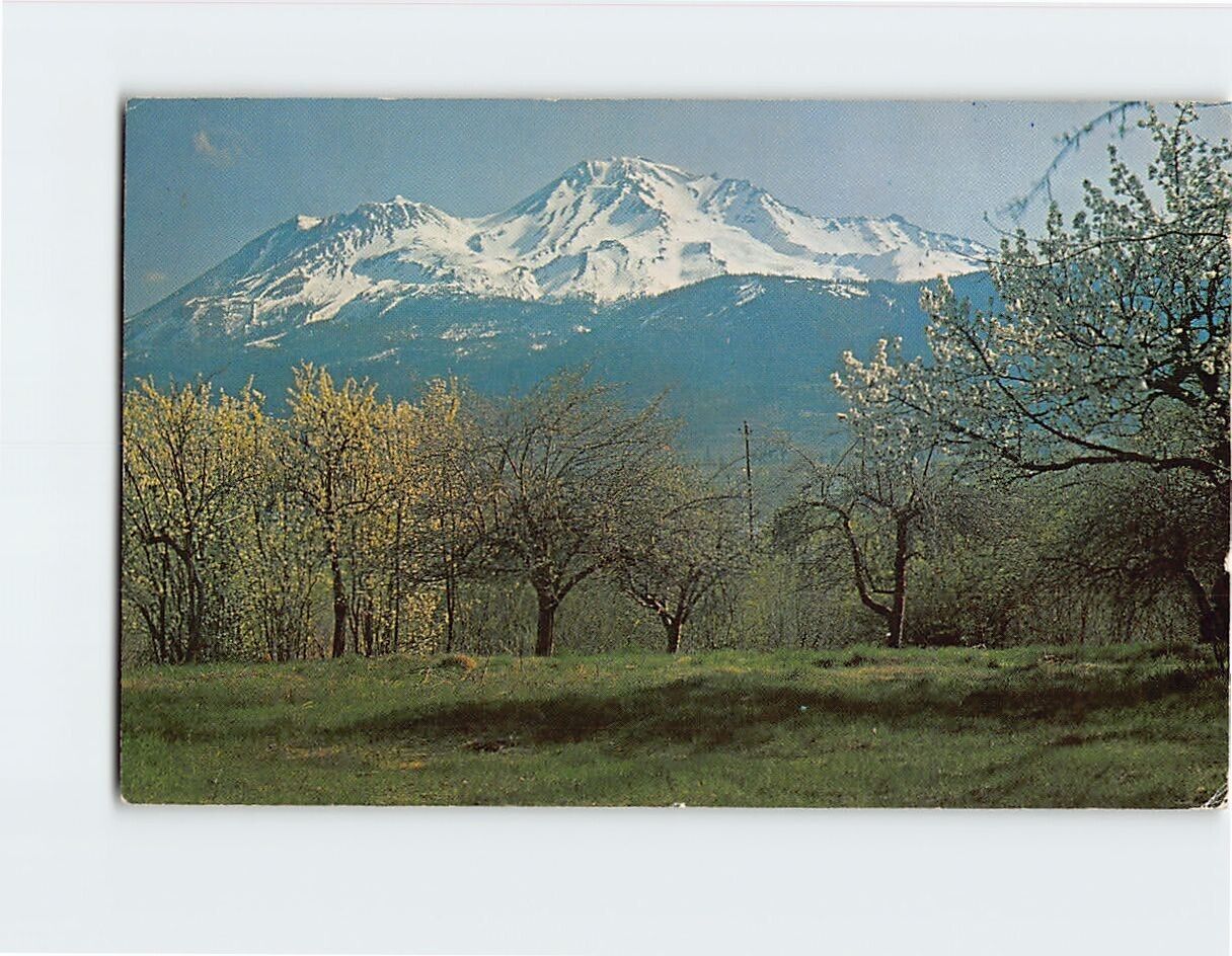 Postcard Mount Shasta California USA