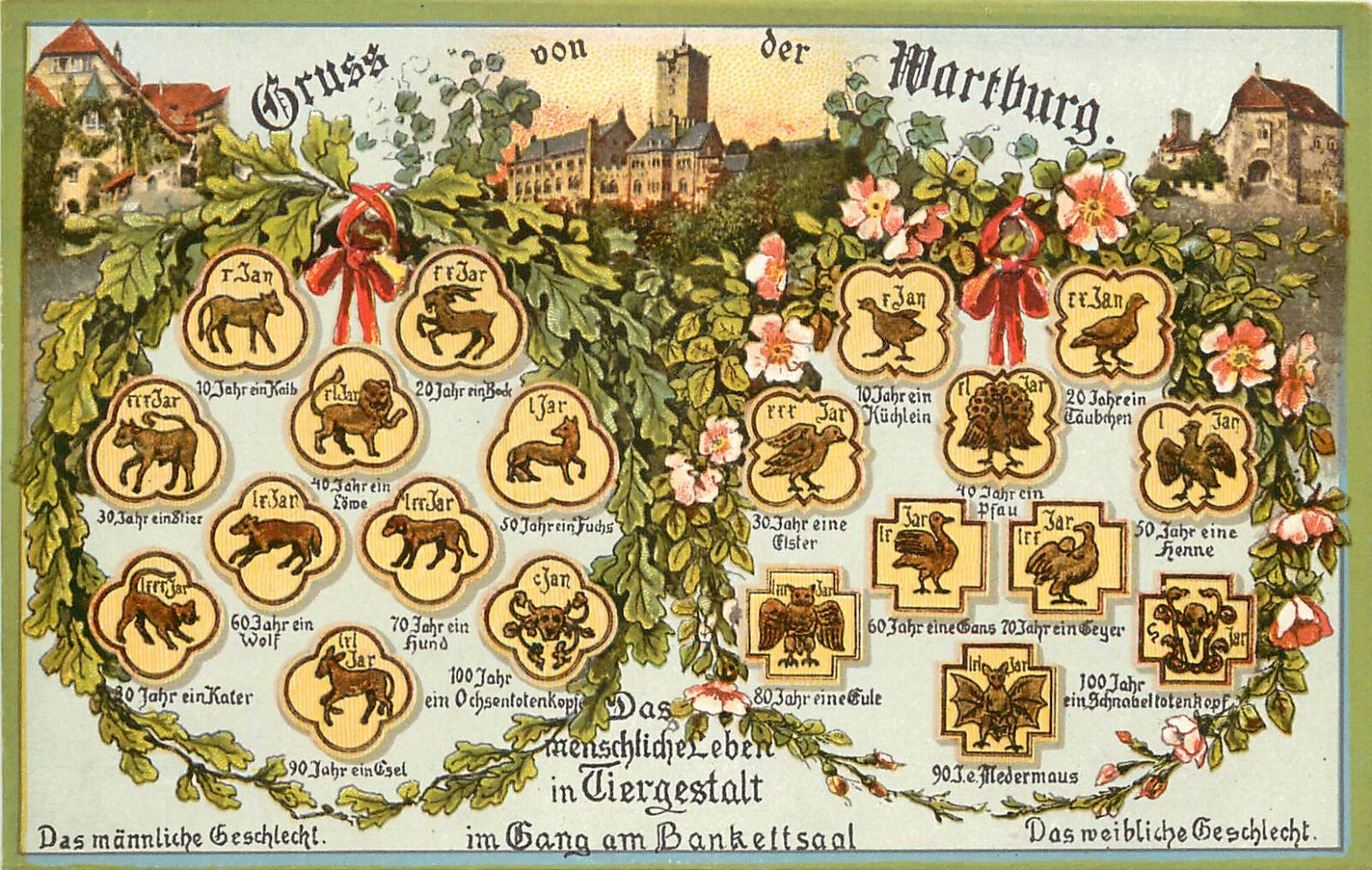 Gruss Von Der Wartburg Germany Postcard With All the Wild Animals 