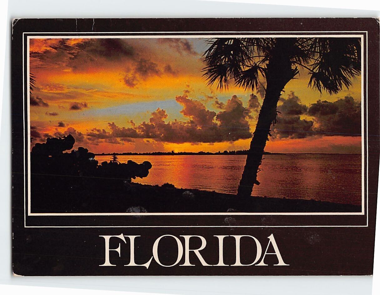 Postcard Beautiful Tropical Sunset in Florida USA