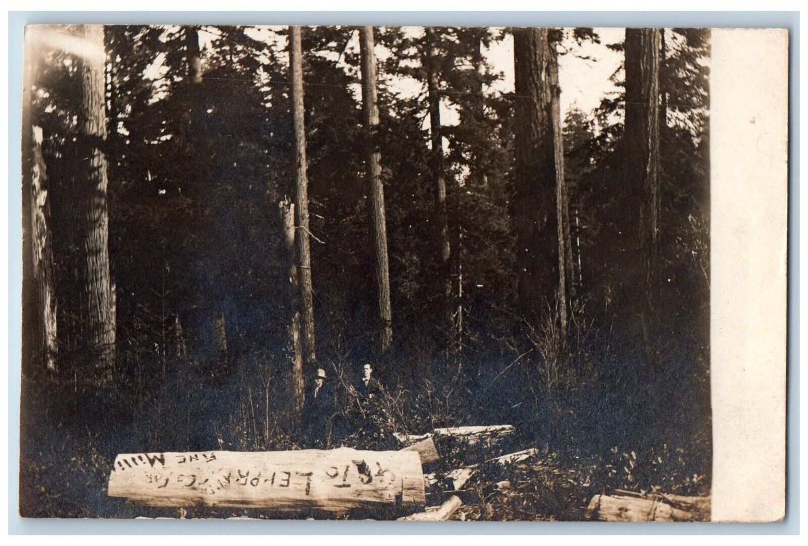Centralia Washington WA Postcard RPPC Photo Leppard Milling Co. Logging 1911