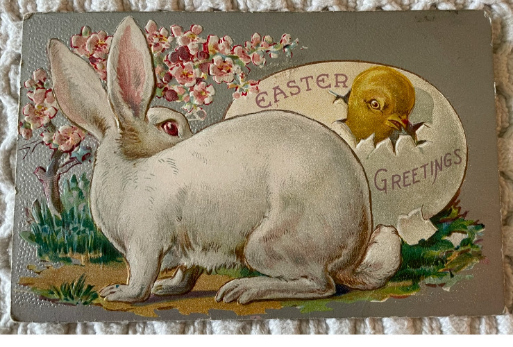Easter Greetings Postcard Exaggerated White Rabbit Chick cracking out of egg