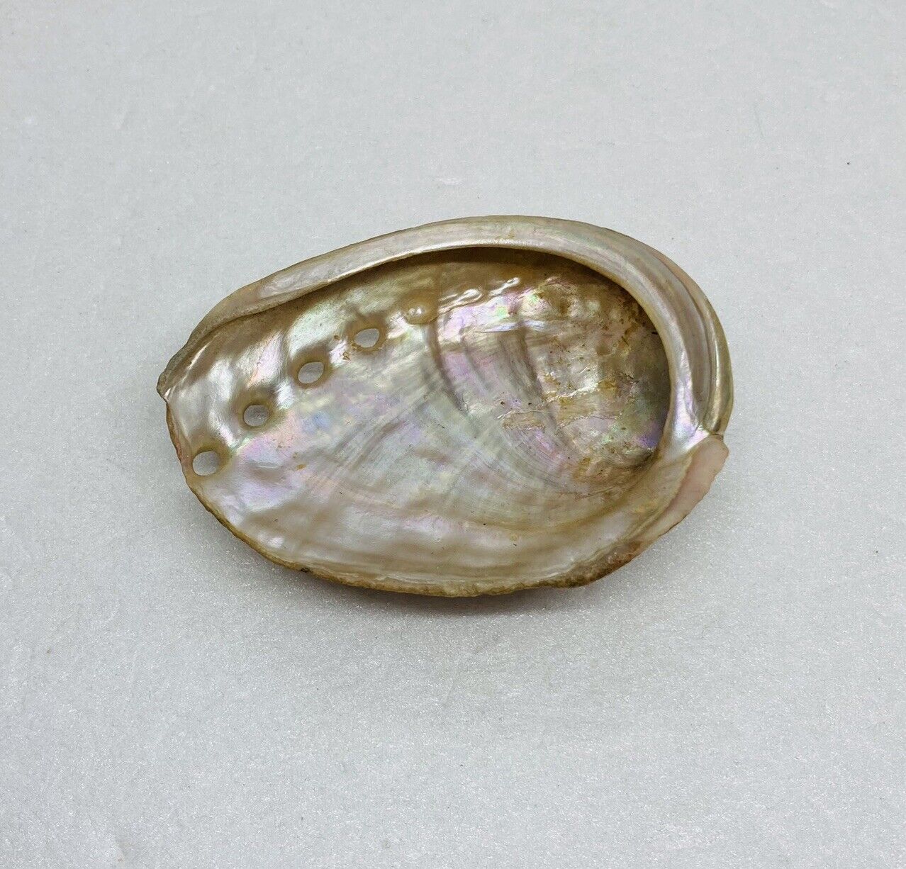Vintage 1970s Abalone Shell Fridge Magnet Mini Seashell 3” Art Decor C3