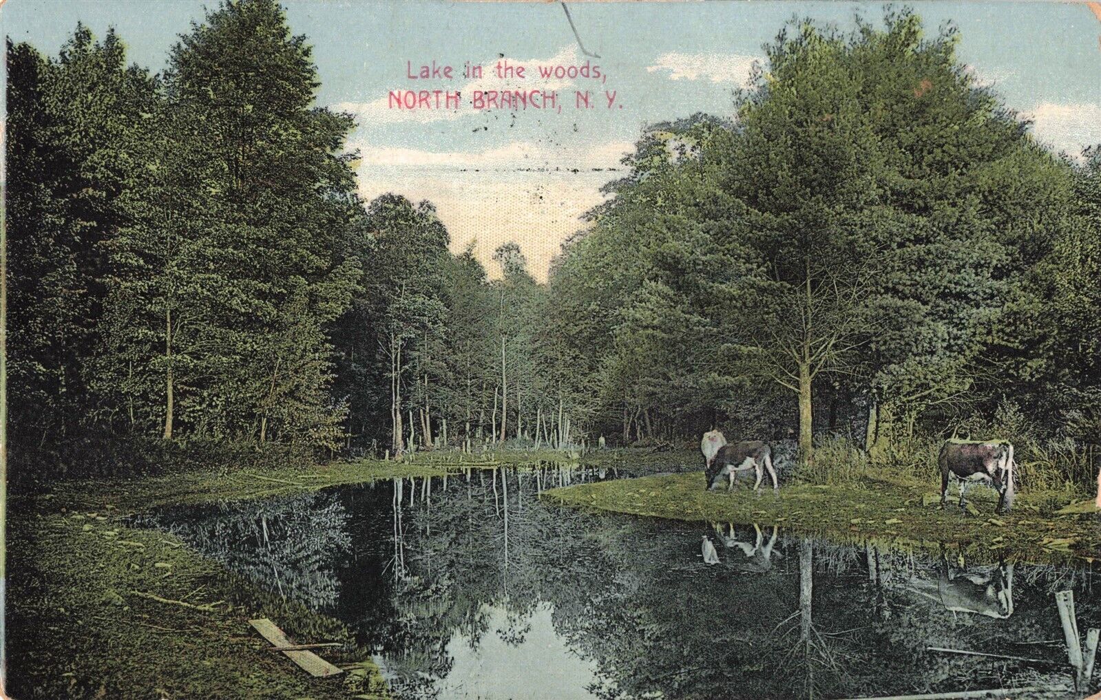 Lake in The Woods North Branch NY New York 1907 Postcard B525