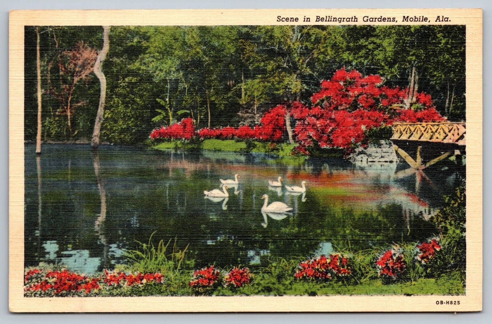 Postcard Scene in Bellingrath Gardens Mobile Alabama AL