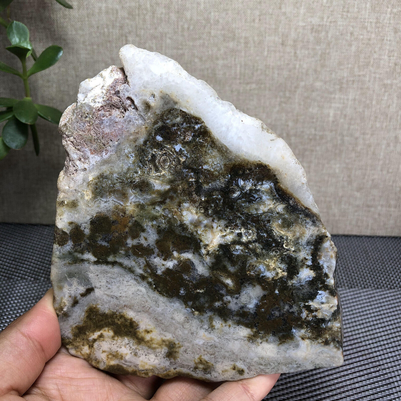 Top Pretty NATURAL POLISHED Ocean Jasper Slice From Madagascar 354g 111mm A1872