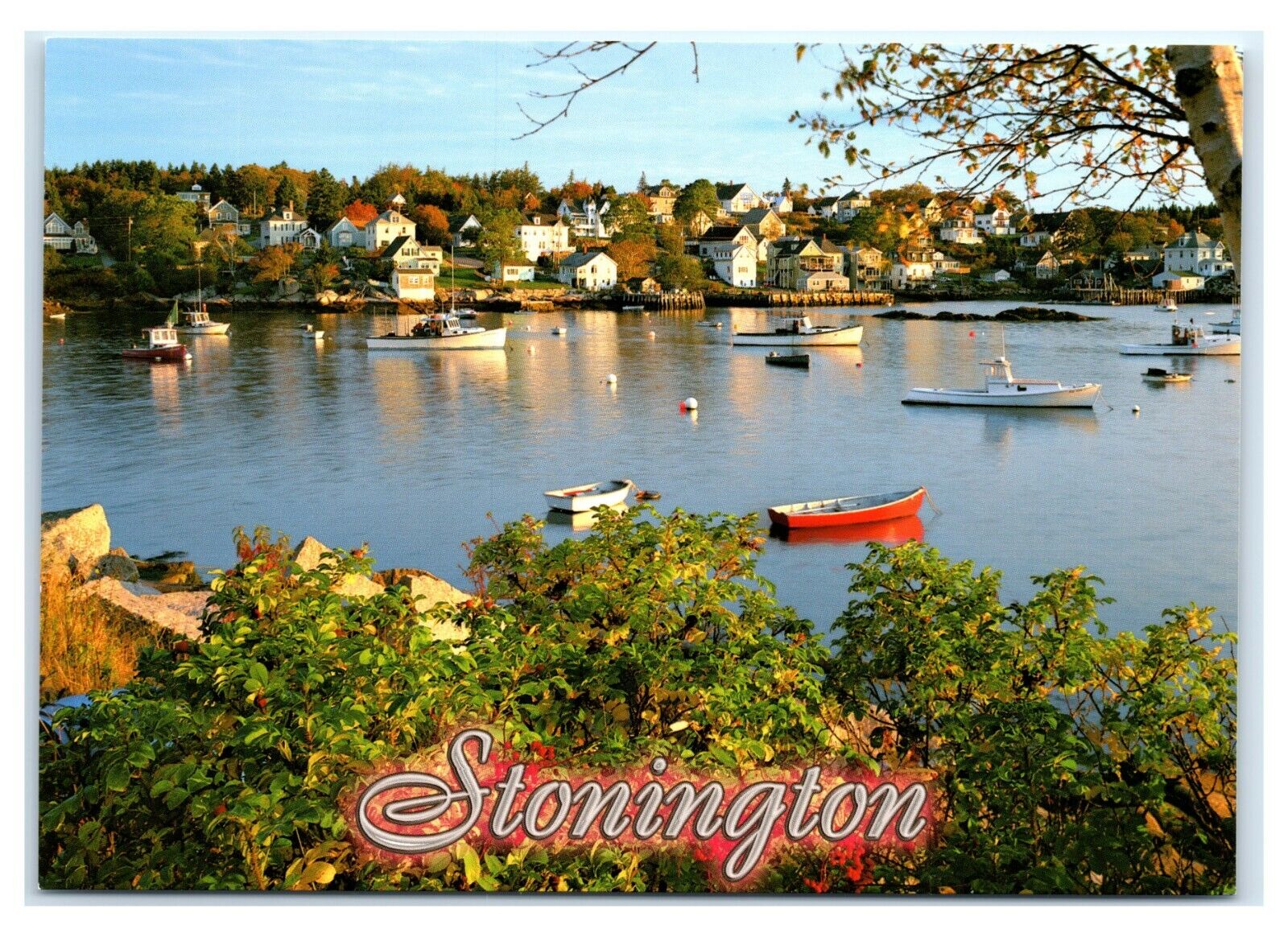Postcard Stonington, Maine ME fishing boats dingy MS413A