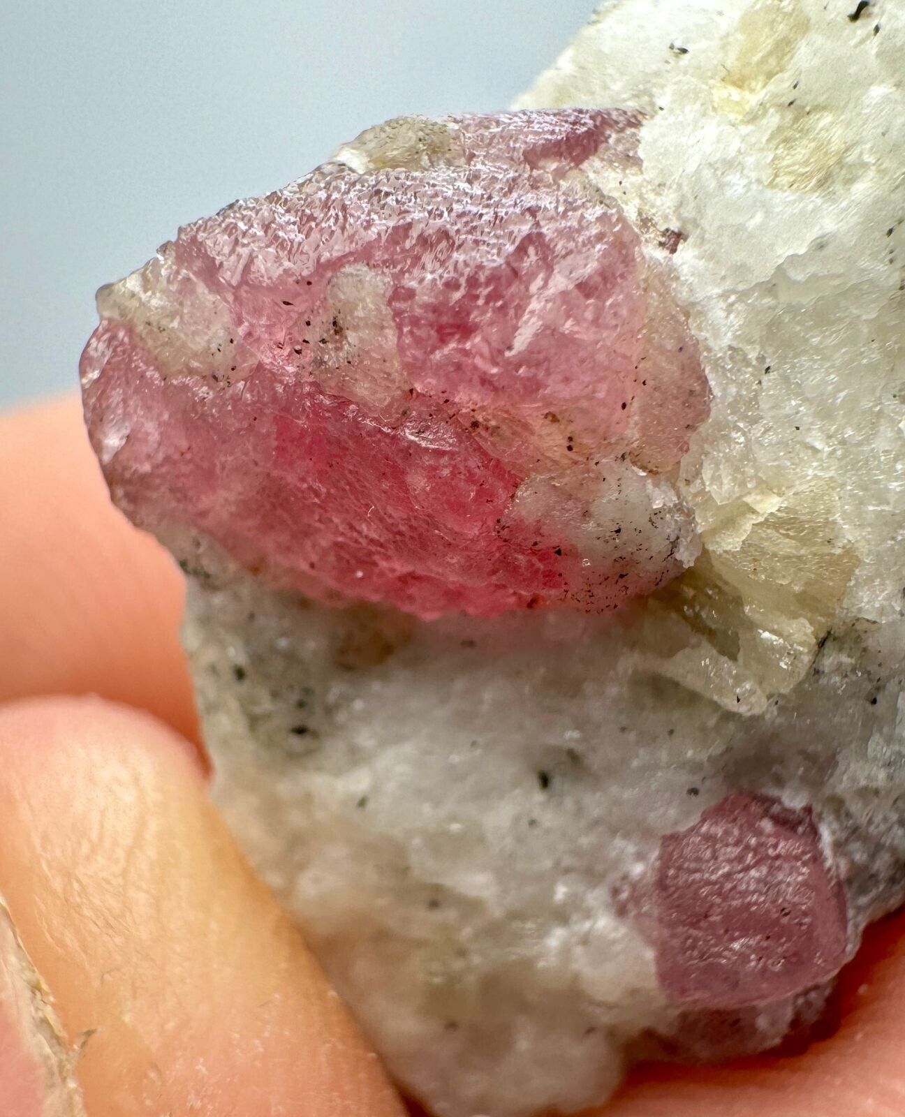 39 Carat Well Terminated Top Red Spinal Partial Crystal On Matrix  From Afghanis