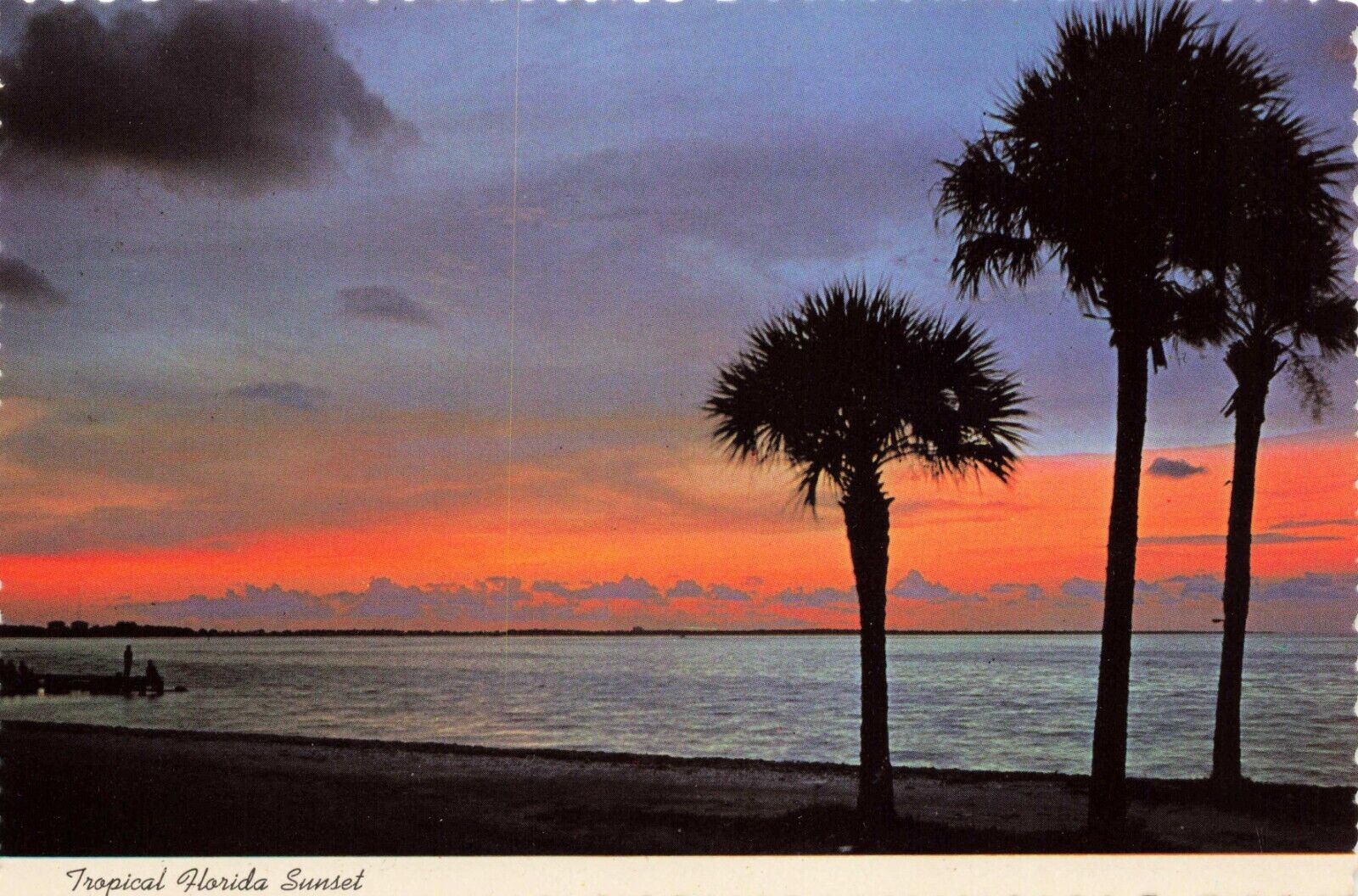Postcard Tropical Florida Sunset