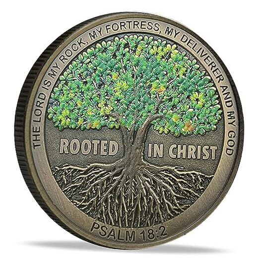 Rooted in Christ The Lord is My Rock, My Fortress, My Deliverer Single Coin