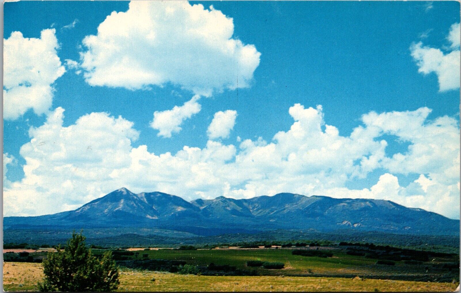 Monticello UT Abajo Blue Mountains Colorado Plateau Petley Chrome Postcard 