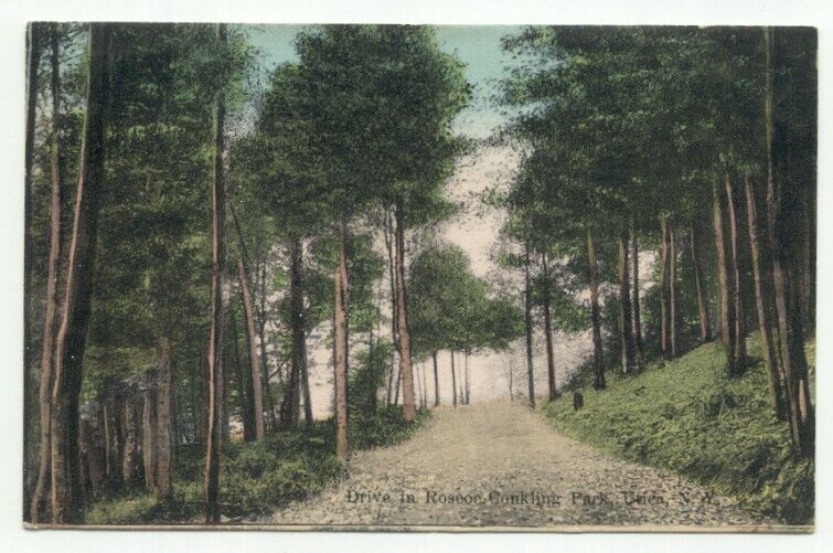 Utica NY Drive In Roscoe Conkling Park c1909 Postcard - New York