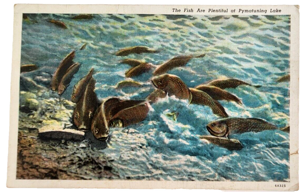 The Fish Are Plentiful at Pymatuning Lake Linen Postcard