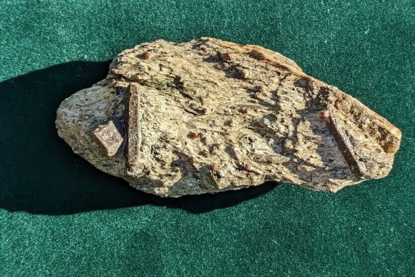 Exceptional Large Staurolite Crystal Twin on Matrix . Taos Co, NM 5\