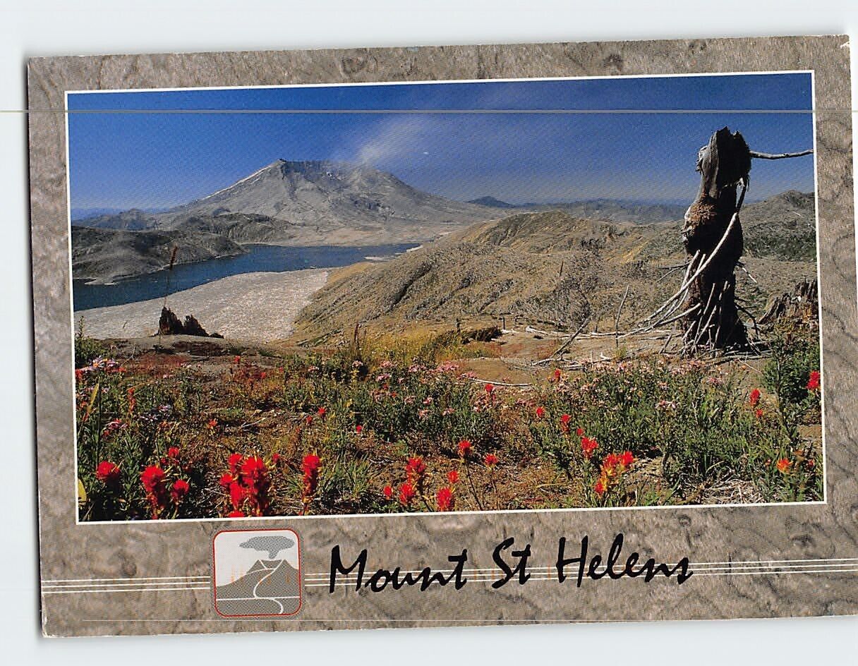Postcard Mount St. Helens Washington USA