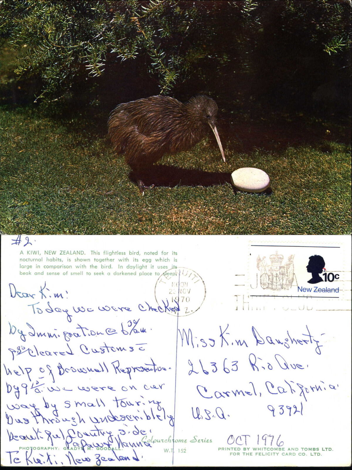 Kiwi flightless bird New Zealand mailed 1970 vintage postcard