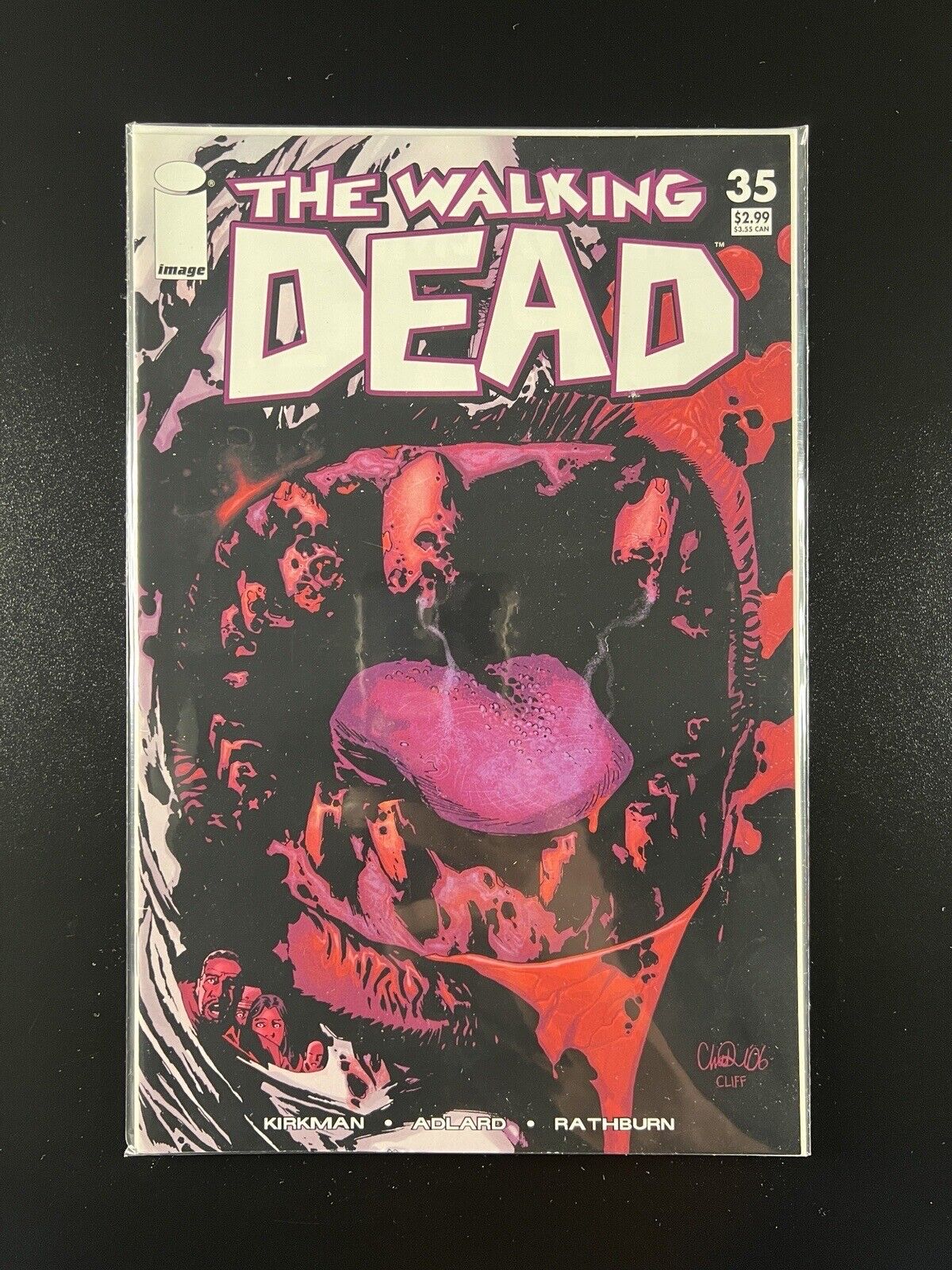 The Walking Dead #35 | Kirkman Adlard | Image 2007