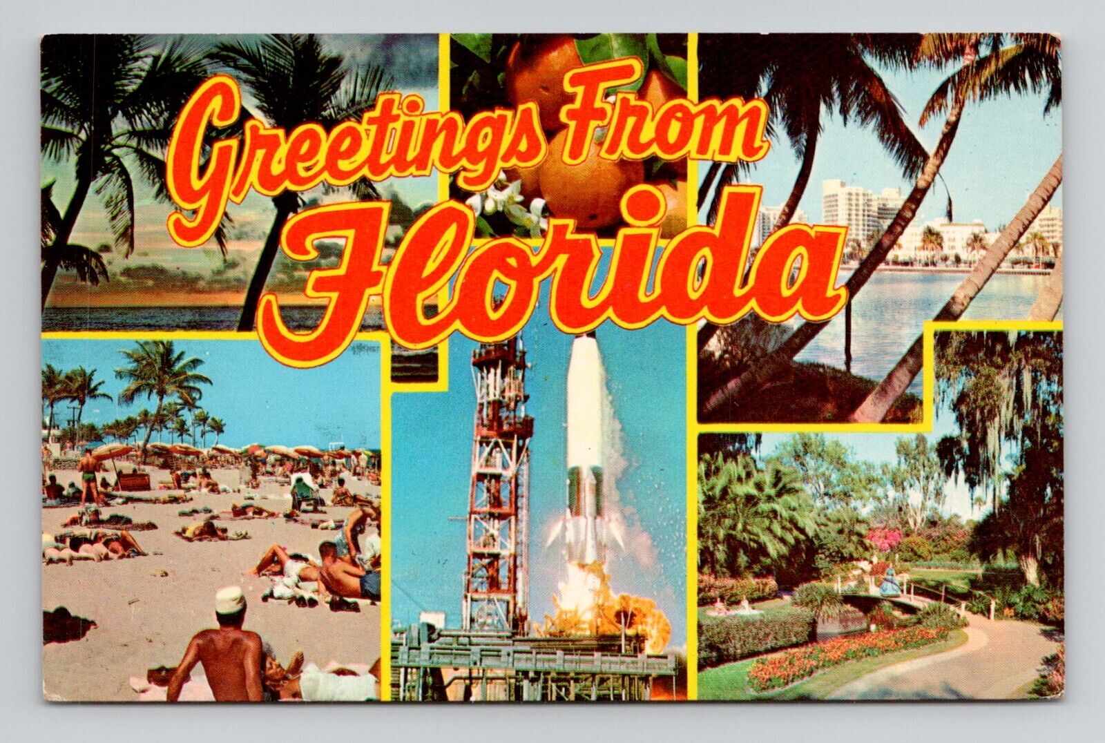 Postcard Greetings from Florida Multi-View Large Letter, Vintage Chrome N19