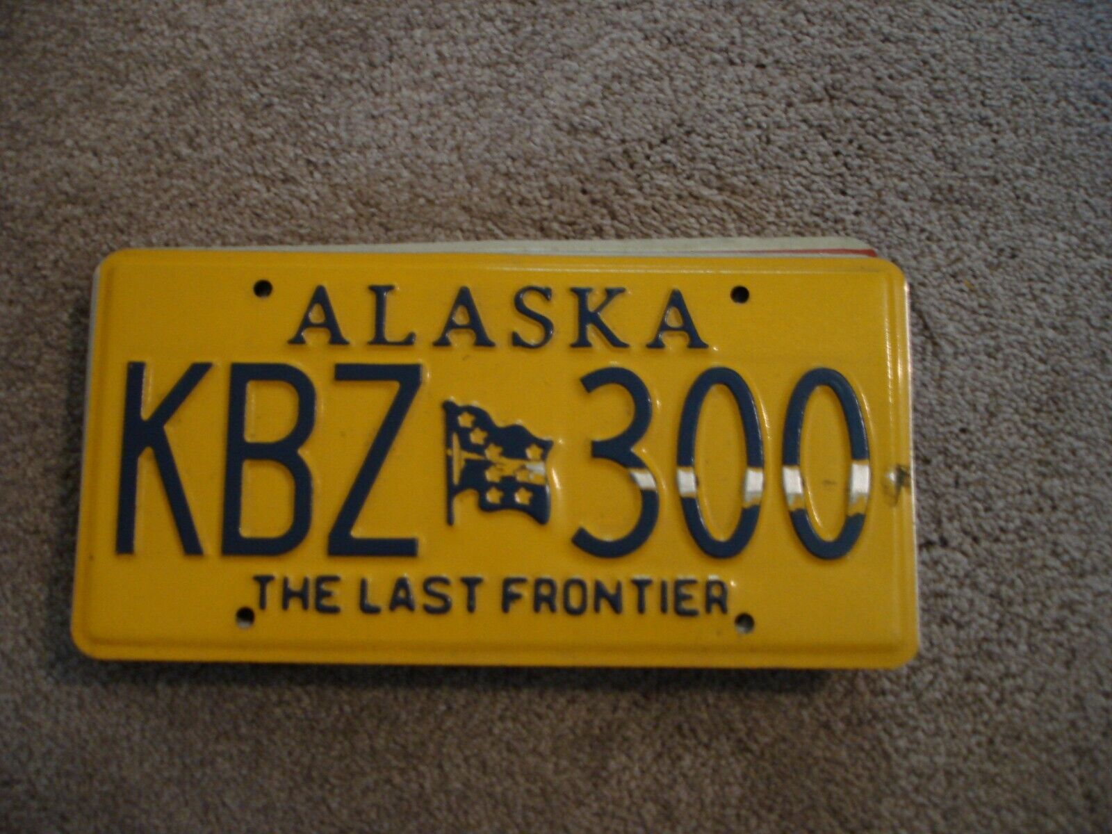 ALASKA (CRAFT)    LICENSE PLATE BUY ALL STATES HERE 