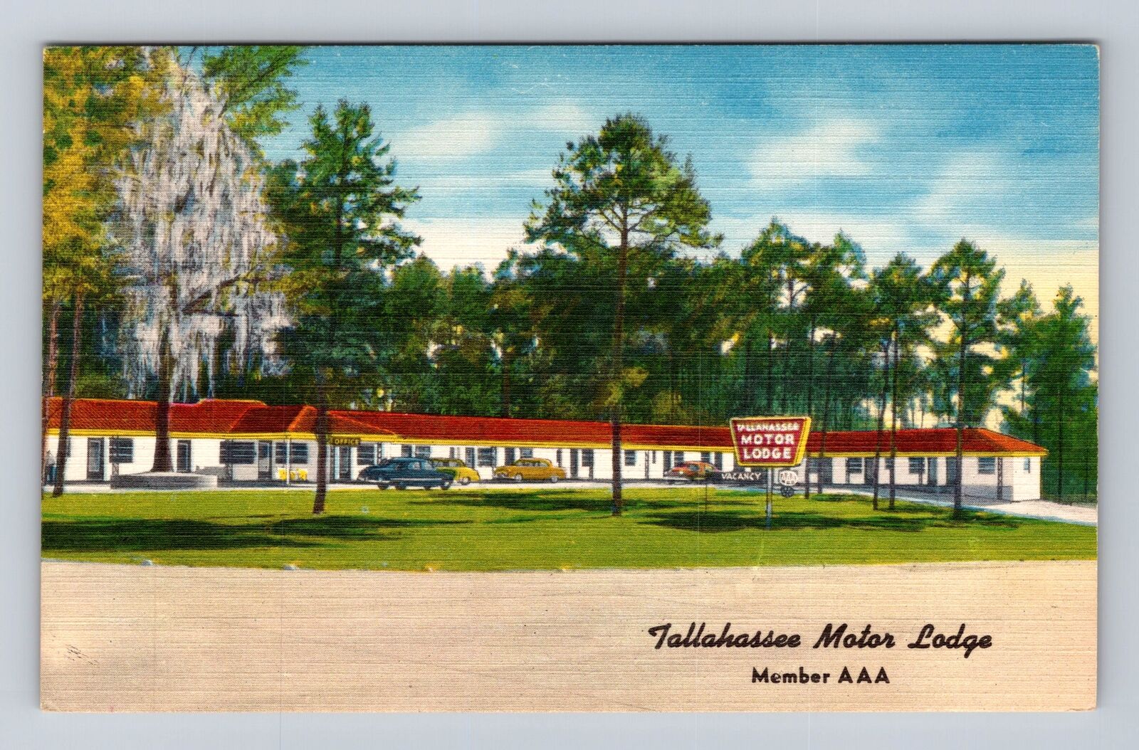Tallahassee Motor Lodge, FL-Florida, U.S. 90 & 20, Advertising, Vintage Postcard