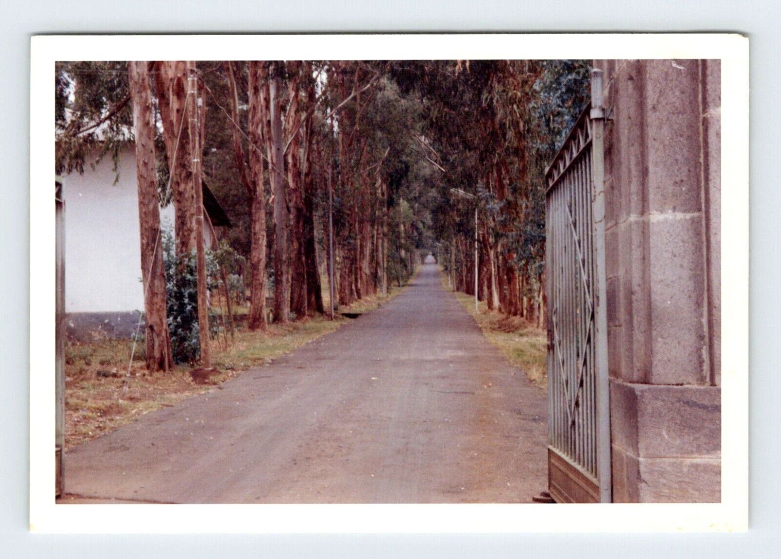 Vintage 1965 Photo Entrance Russian Embassy In Addis Ababa Ethiopia 1960\'s R157E
