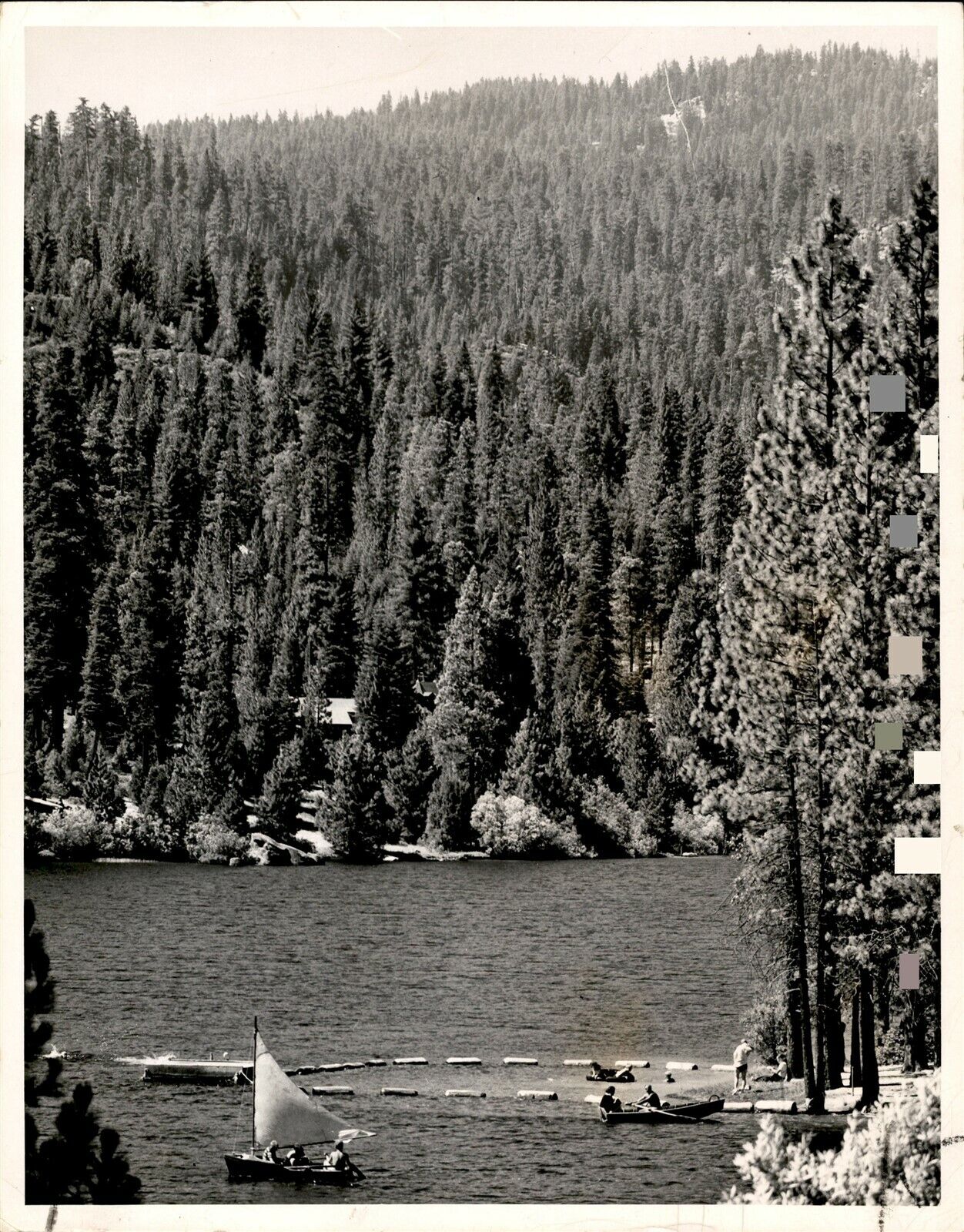 LG927 1949 Original Photo SWIMMING TOO Hume Lake Chain of Logs California Fresno