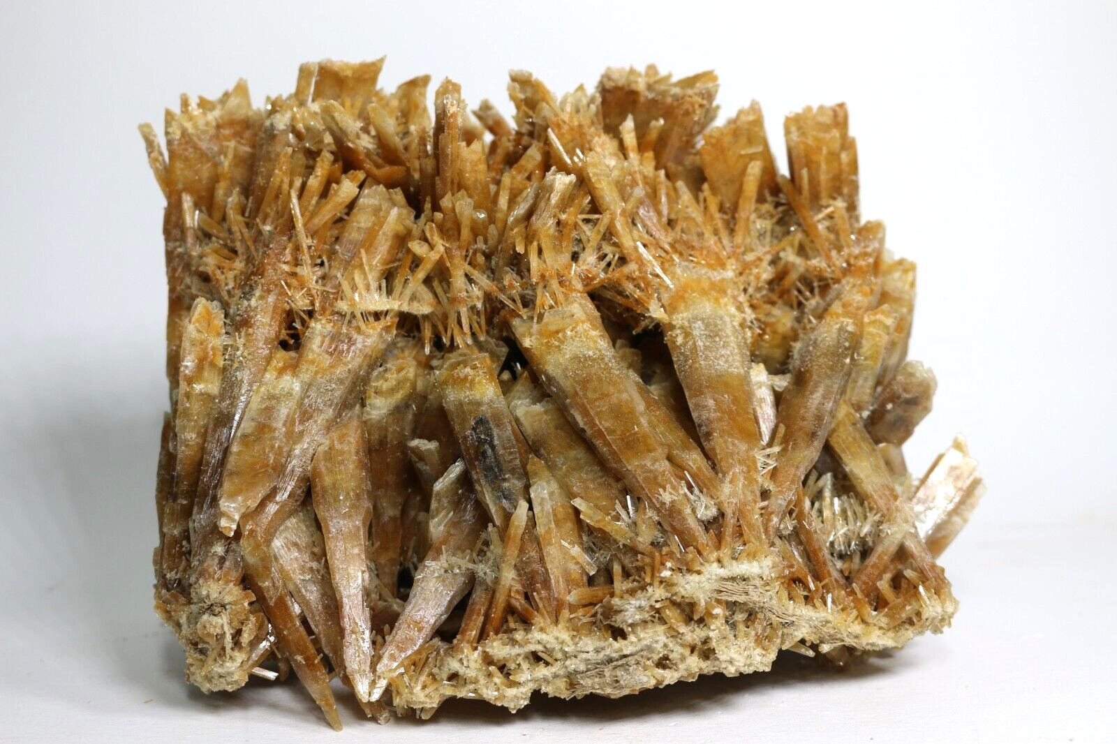 HUGE Golden Selenite Crystal Cluster, Australia SEL92