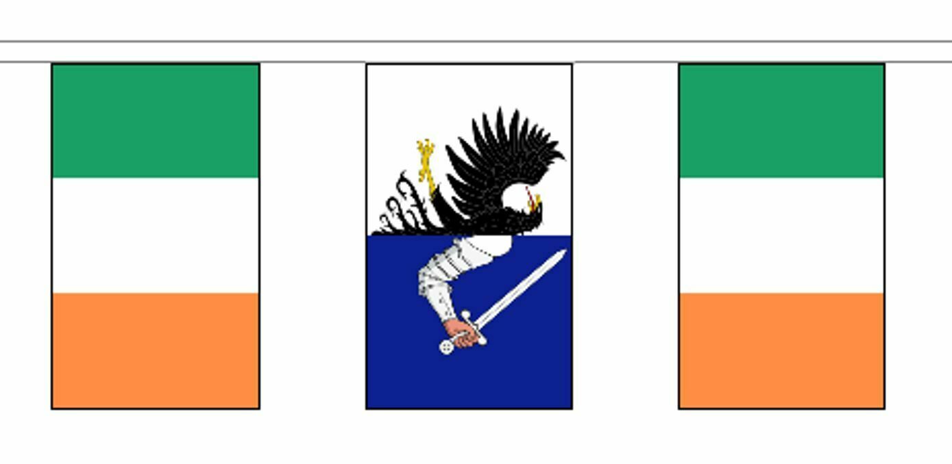 Ireland & Irish Province Friendship Flag Polyester Bunting - Premium Quality