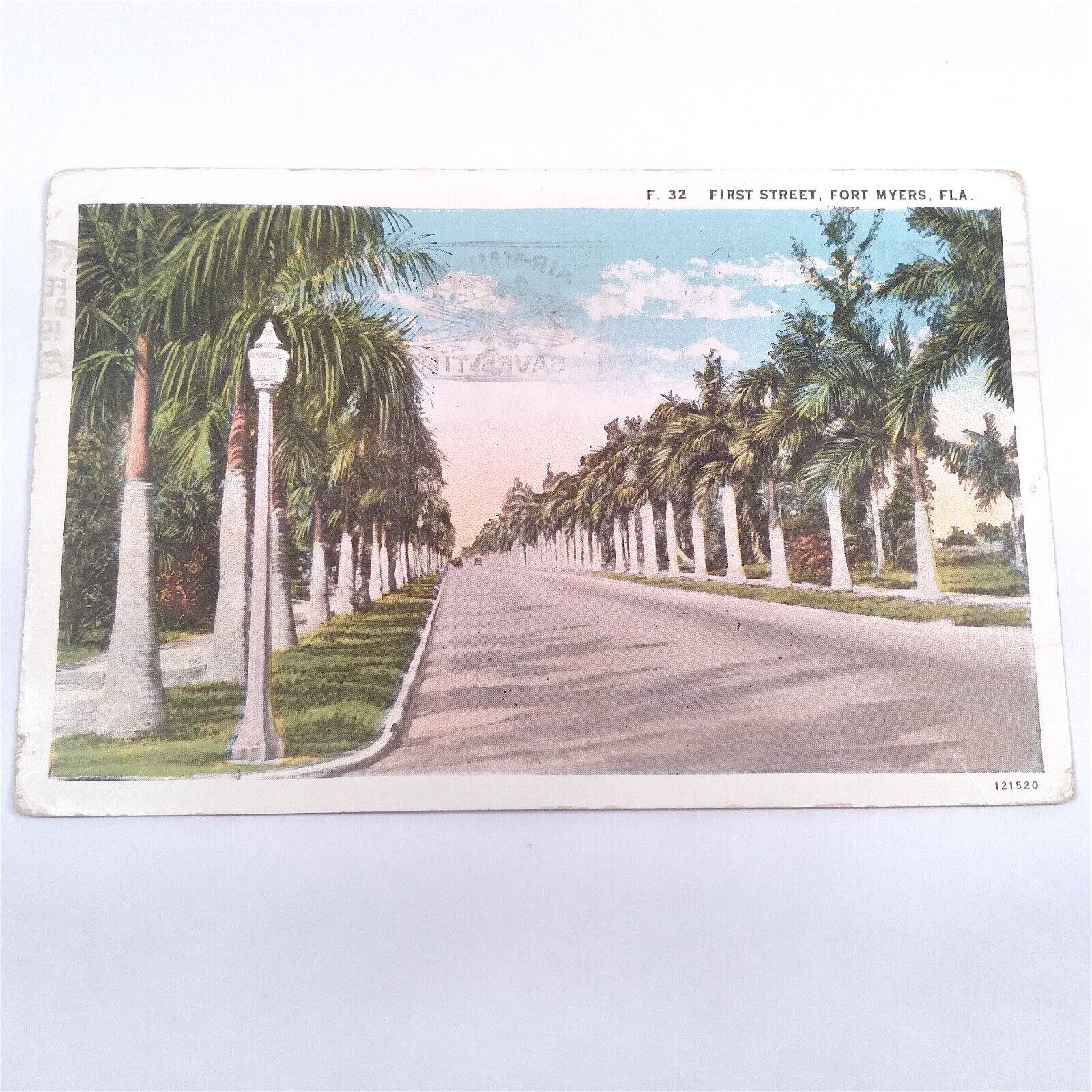 Fort Myers Florida -First Street- Palm Trees Panoramic View Postcard c1908-13