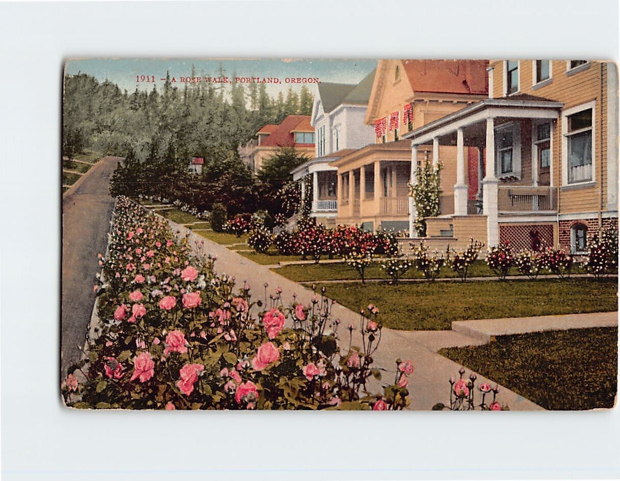 Postcard A Rose Walk Portland Oregon USA North America