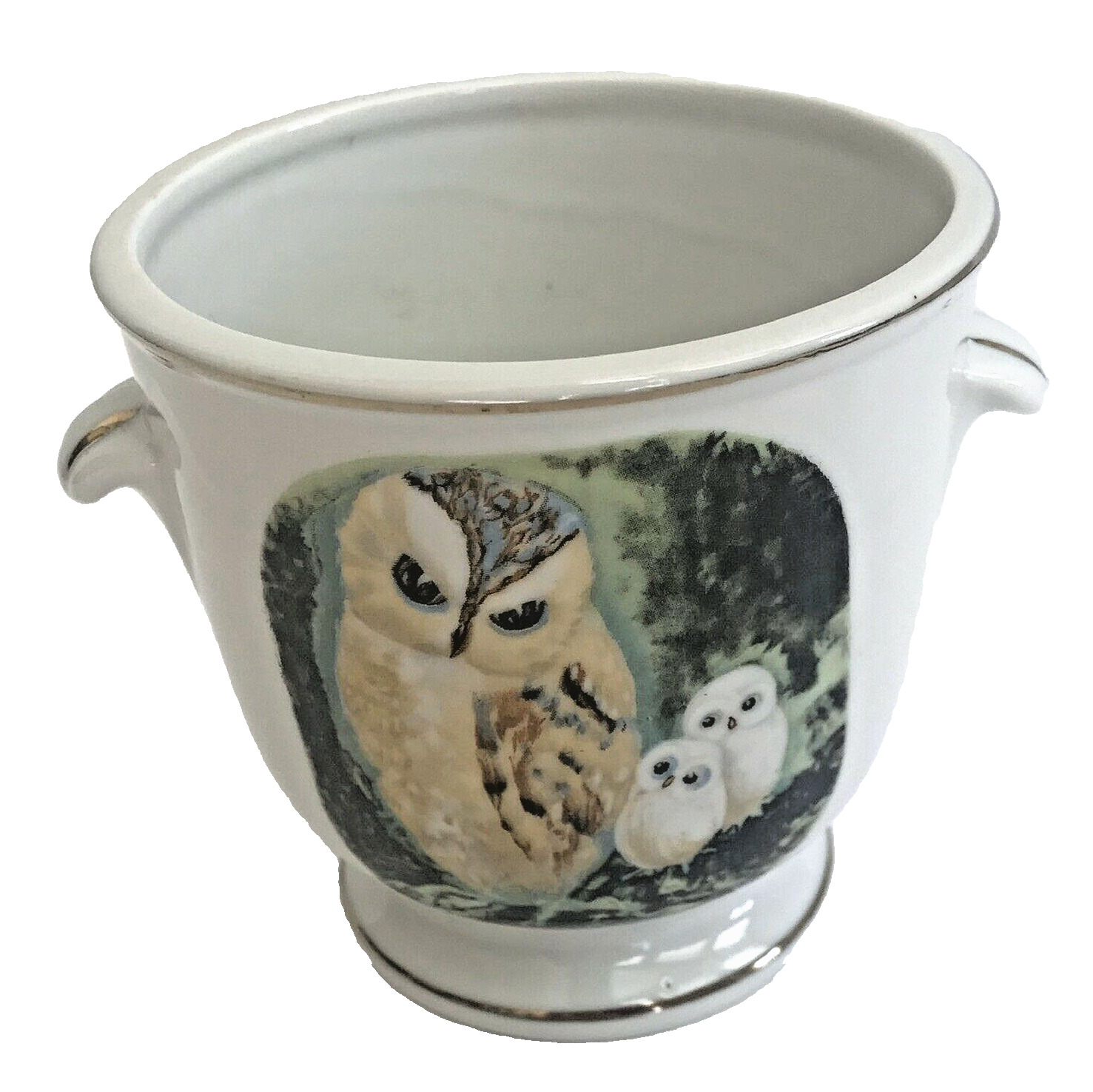 Vintage Mama Owl And Baby Shaving Mug