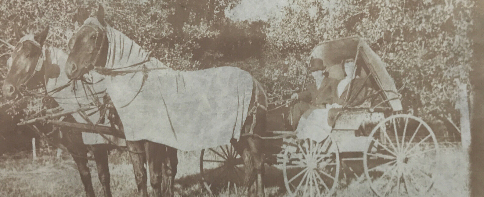 Antique Vtg RPPC Horse Drawn Covered Buggy Man Woman Hat Blankets #279