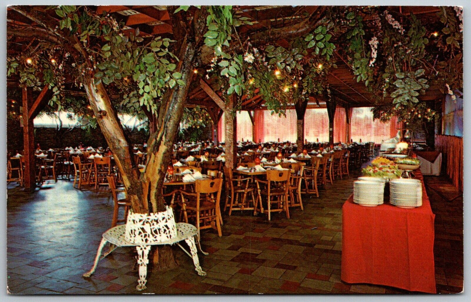 Medina New York 1960s Postcard Apple Grove Inn Buffet Patio