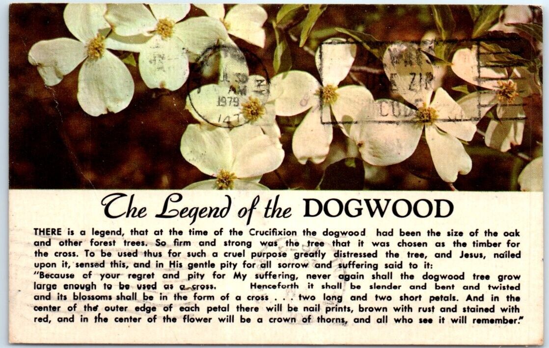 Postcard - The Legend of the Dogwood
