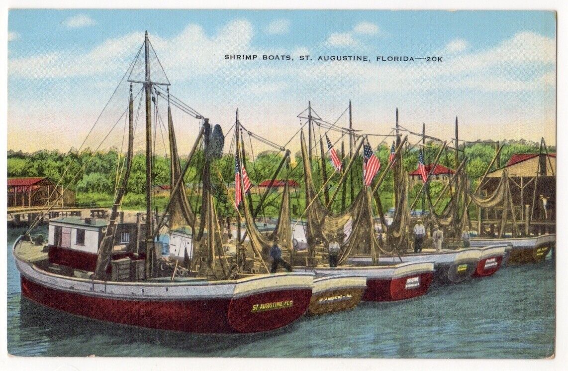 St. Augustine Florida c1940's Shrimp Boats, fishing fleet