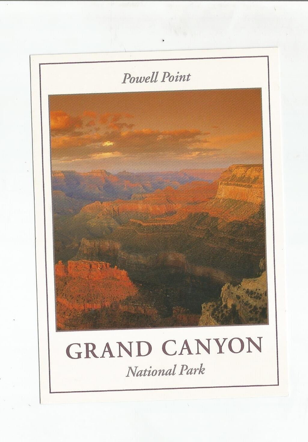 POWELL POINT  GRAND CANYON NATIONAL PARK ARIZONA POSTCARD