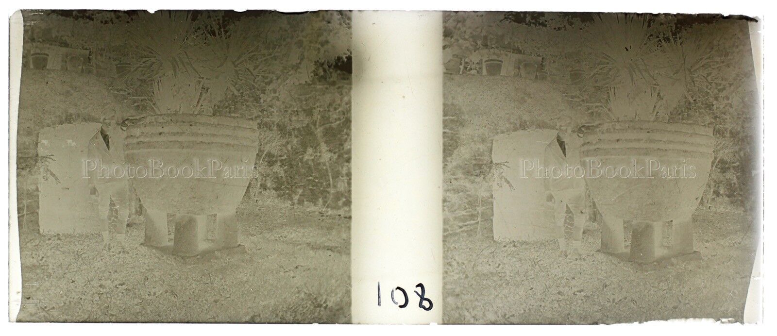 Photo Amateur Plate Glass Stereo Negative Vintage N108