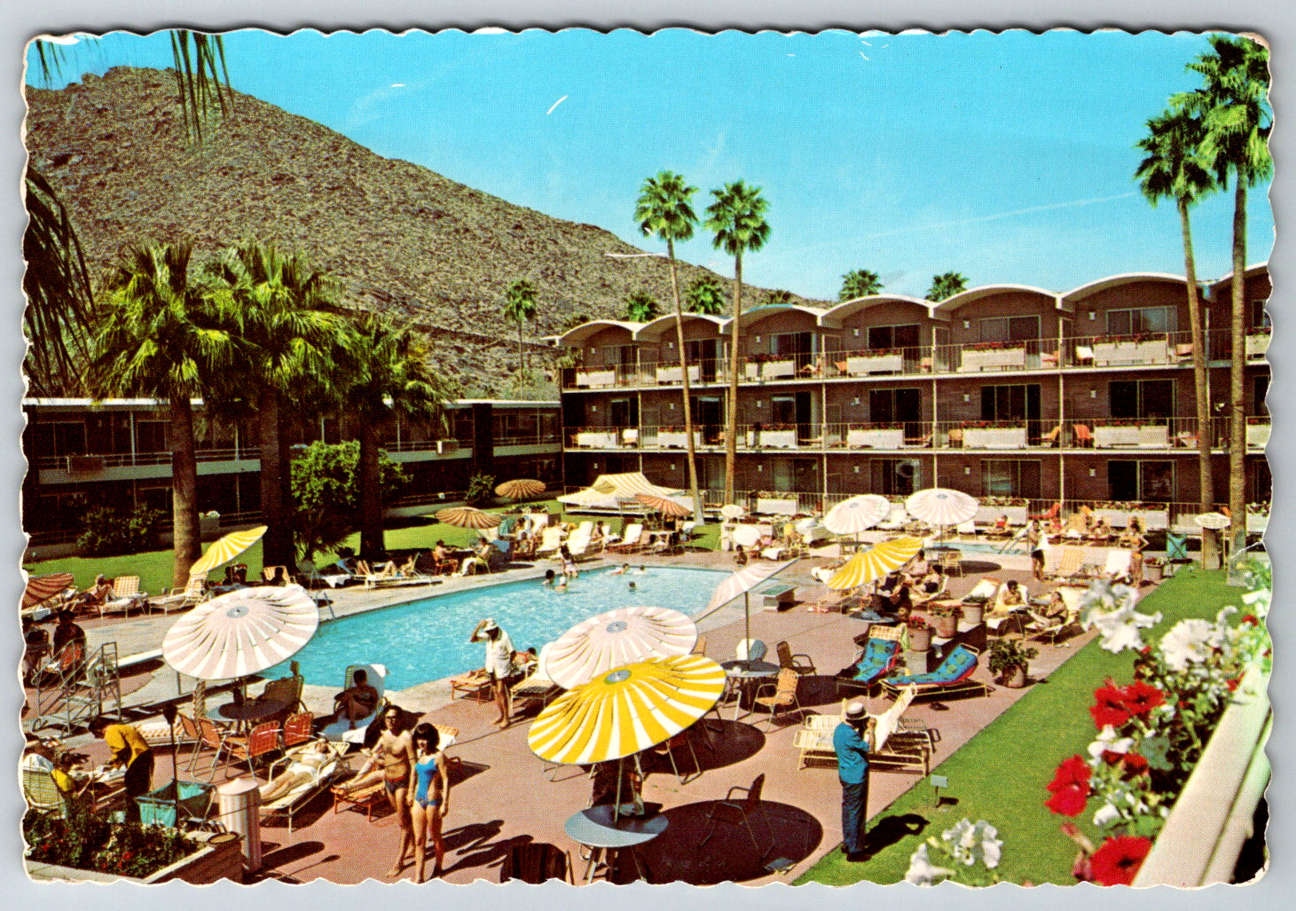 c1980s Postcard Sheraton Oasis Hotel Palm Springs CA Desert Pool Continental