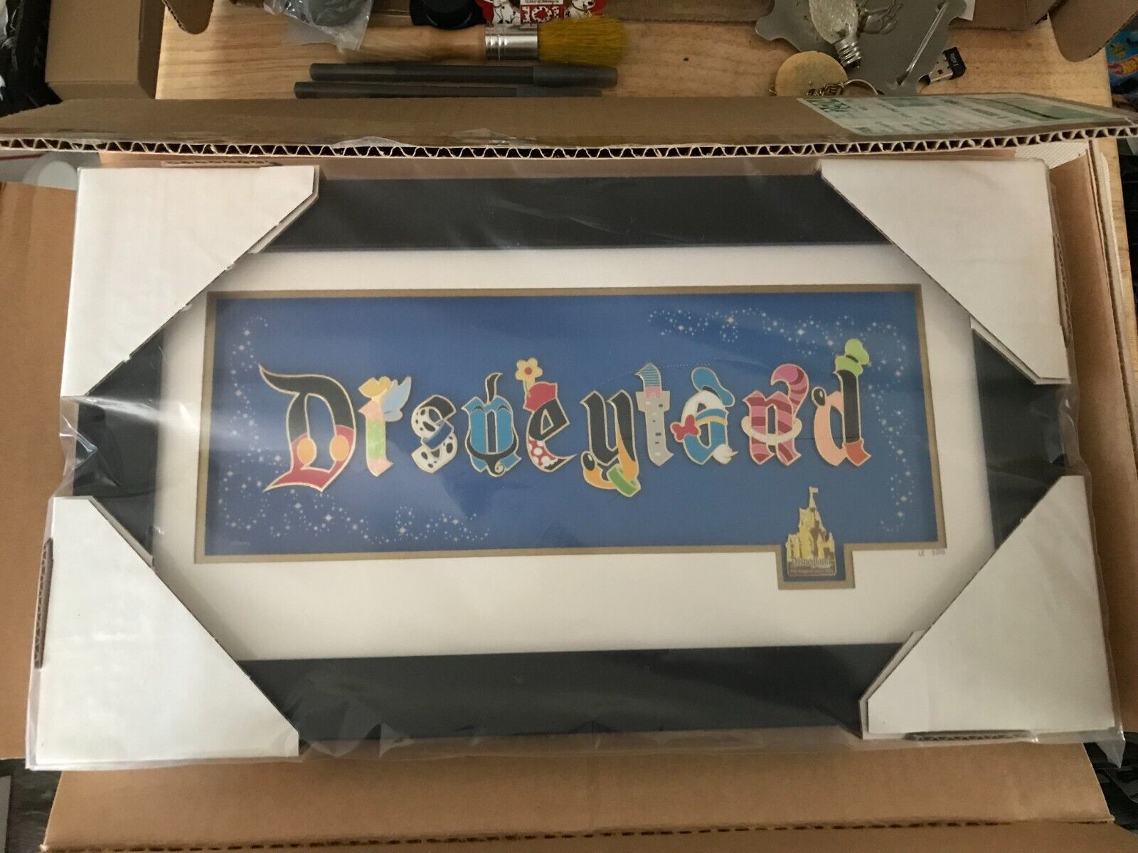Disneyland Gothic Framed Pin Set | Limited Ed of 500 | Cracked Frame