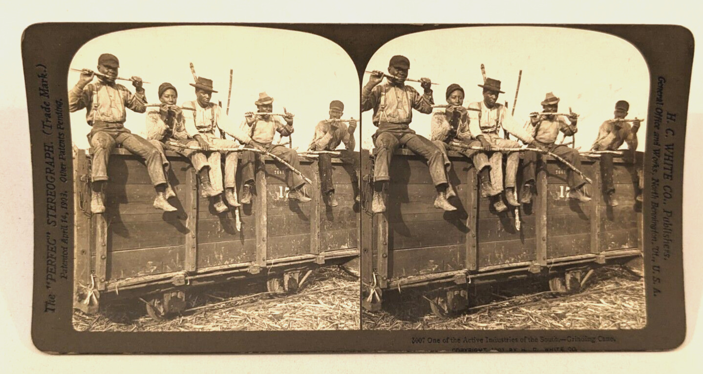 Grinding Cane Southern Stereoview Photo African American Black