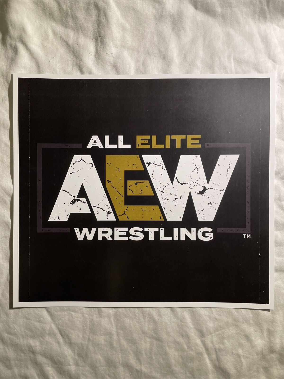 AEW All Elite Wrestling Poster  12” X 11” - Hard Stock Paper