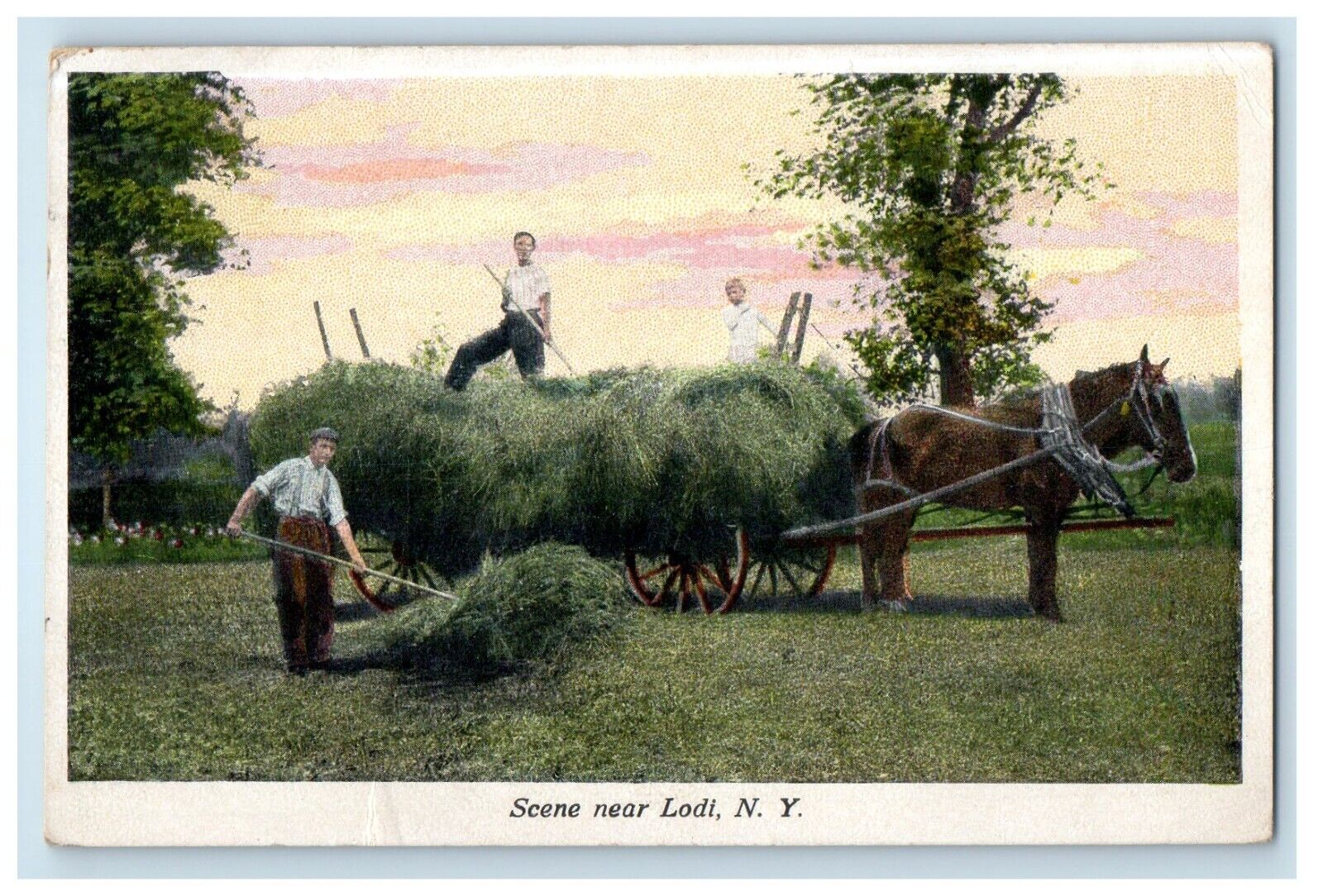 Scene Near Lodi New York NY, Horses And Wagon Farmers Vintage Postcard