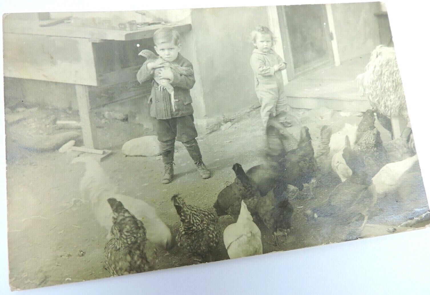 Boy Holding Chickens Vintage RPPC Postcard Unused Unposted Children Farm 