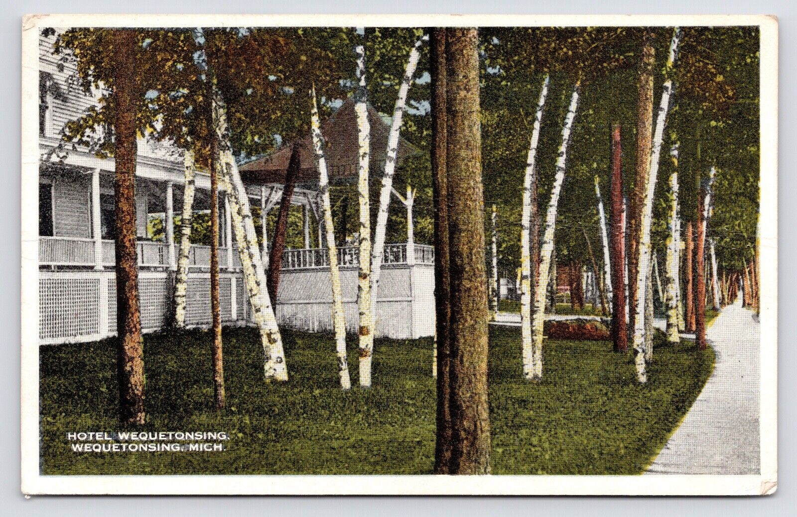 c1915-20s~Hotel Wequetonsing~Michigan MI~Patio & Driveway~Antique Postcard
