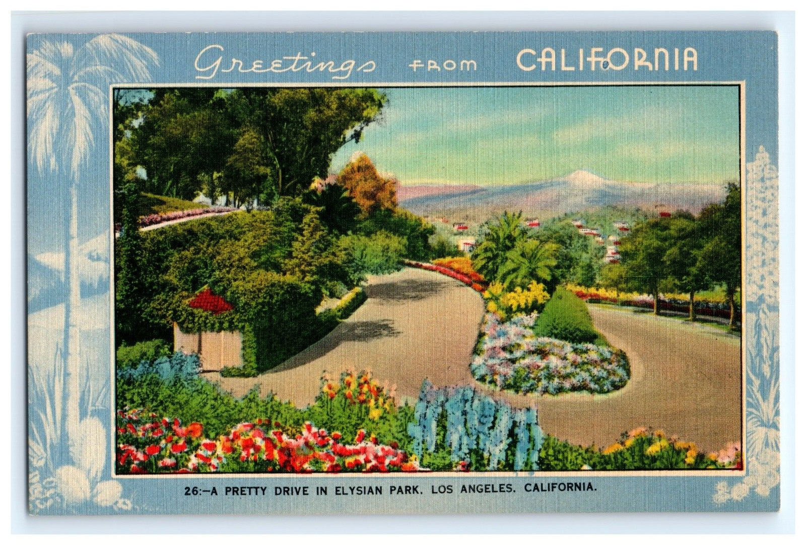Vintage Postcard Greetings From California Elysian Park Los Angeles Pretty-b