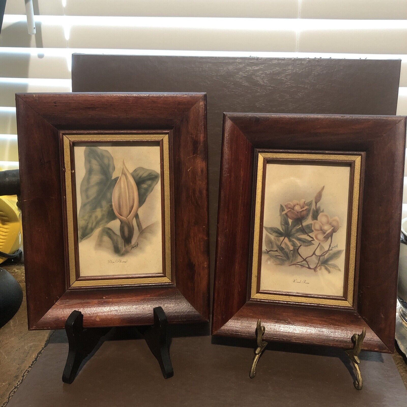 2 Antique Pictures With Original Frames/flowers 