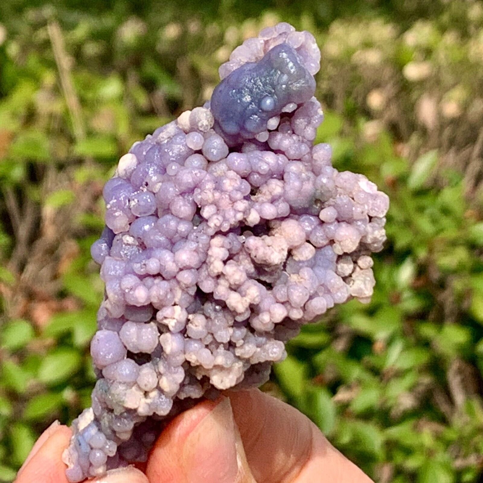 107G Beautiful Natural Purple Grape Agate Chalcedony Crystal Mineral Specimen