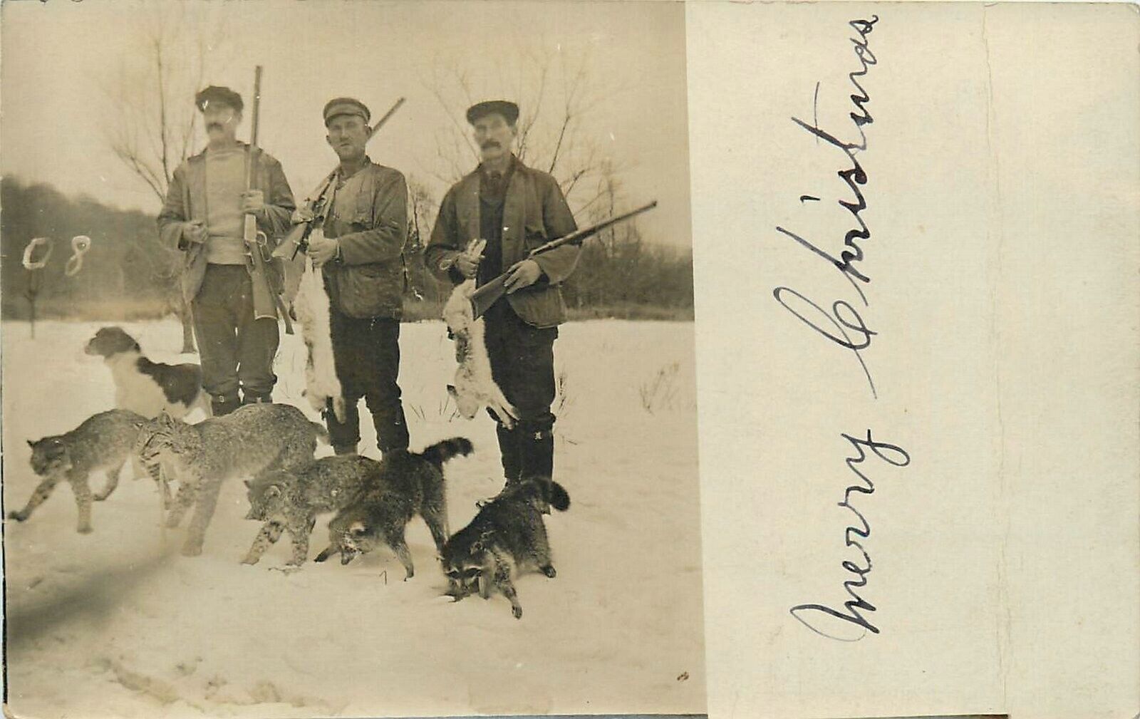 Postcard RPPC C-1910 Hunters Taxidermy Bobcat Lynx Raccoon 24-6656